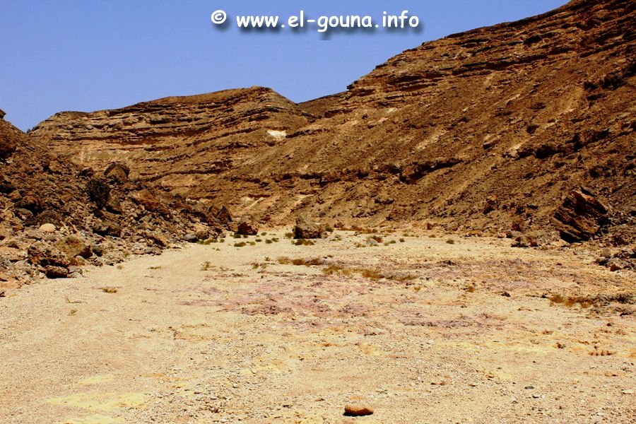 Quad Tour 0079